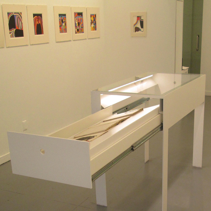 Custom Display Cabinets for Art Gallery